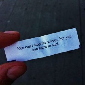 Meet your Posher, Neal